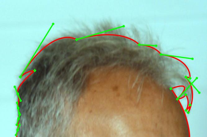 Bézier curves to outline the head and some
large locks of hair