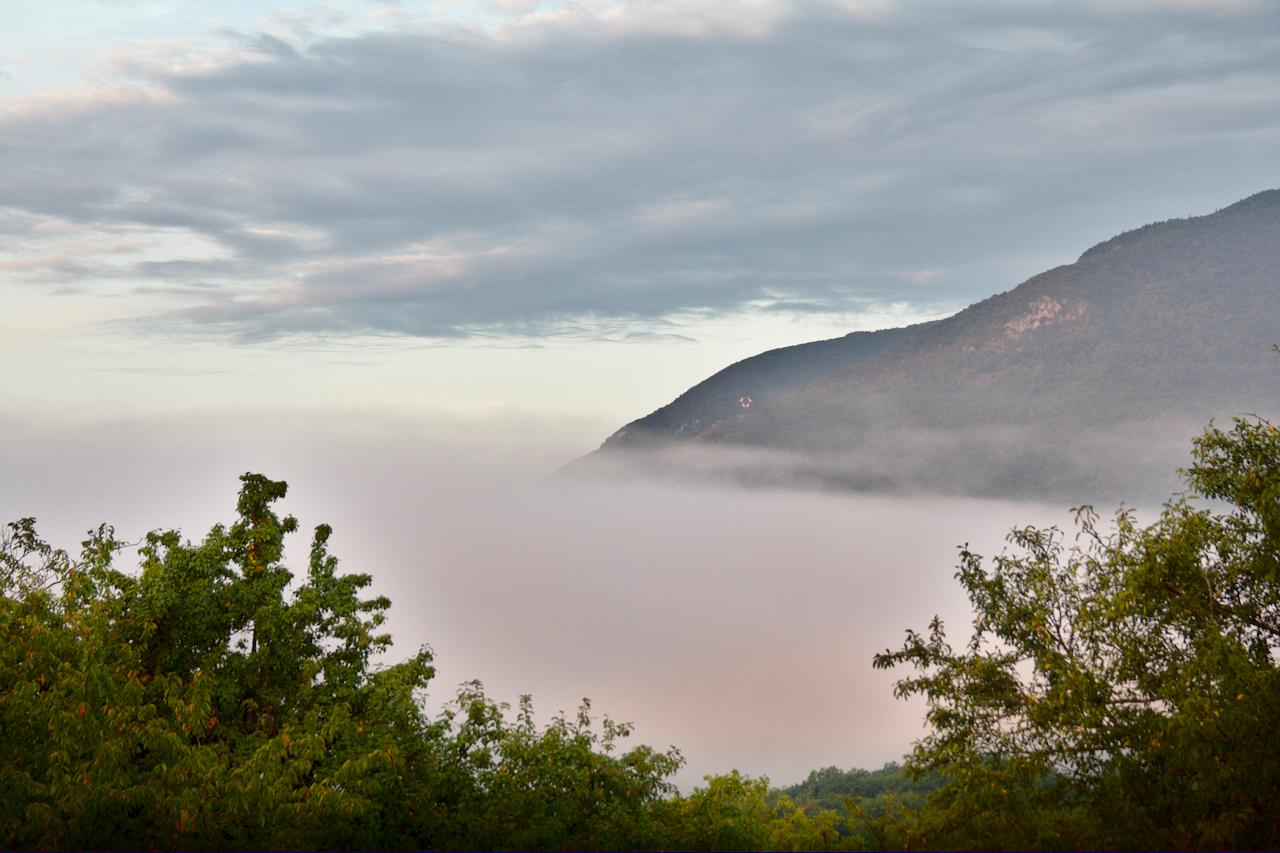 Misty Sunrise