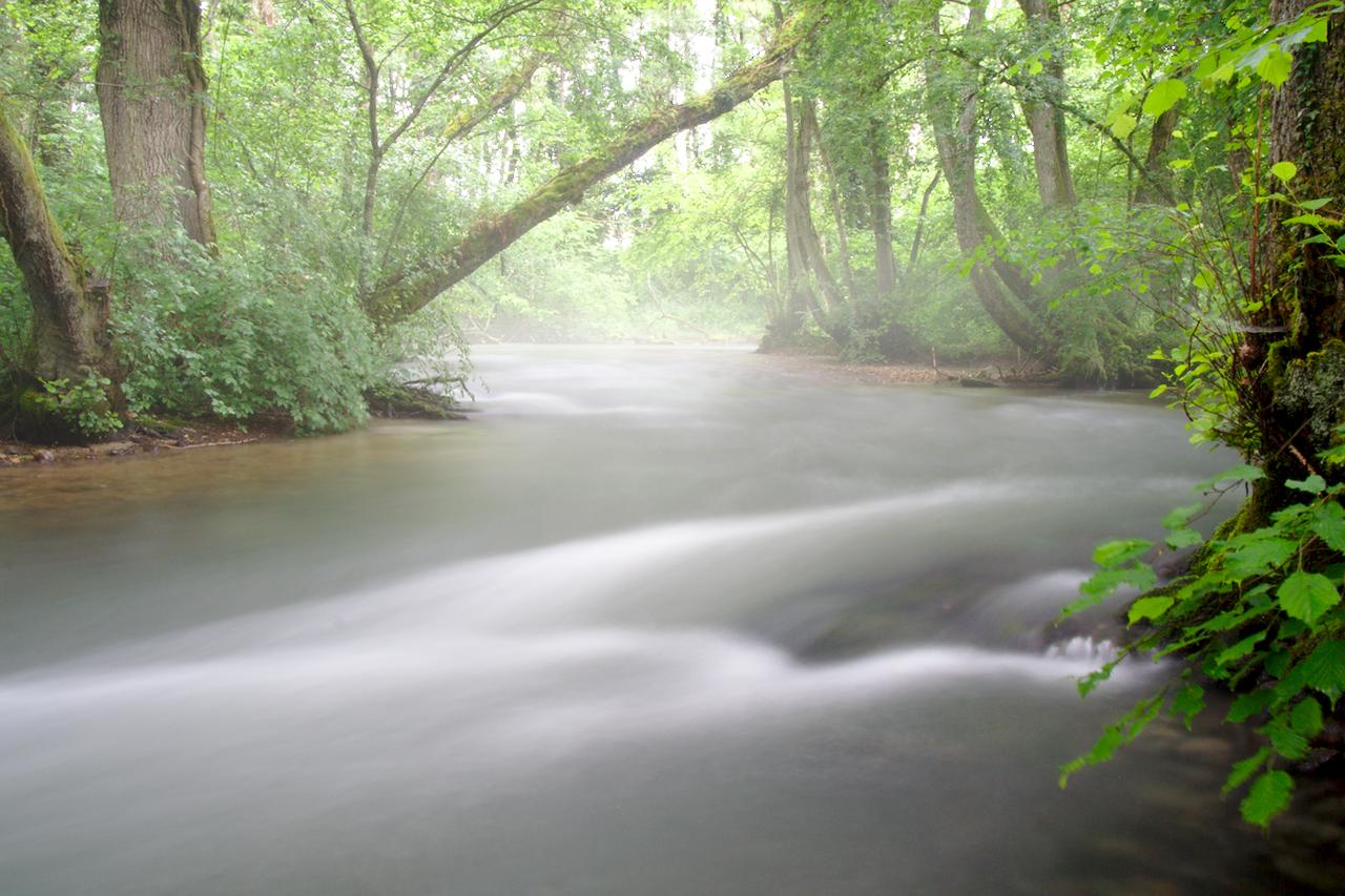 Misty River